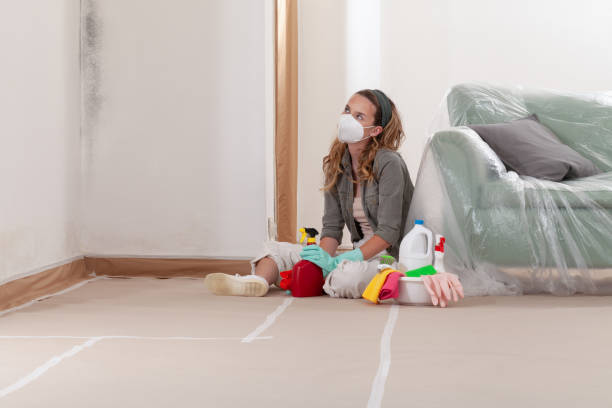Reliable Mold Remediation contractor in Middlesex, NC by 24 Hour Mold Removal